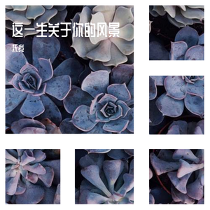 这一生关于你的风景