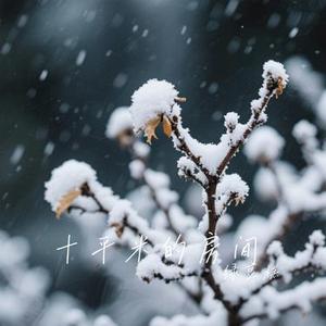 十平米的房间 (绿豆糕 Remix)