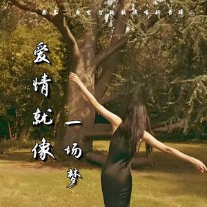爱情就像一场梦