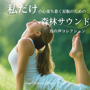 眠れない夜に聴く1分で眠れる癒しのギターBGM 不安改善 自律神経 瞑想音楽 (3分で眠れる森)