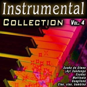 Spice Islands Sea Birds