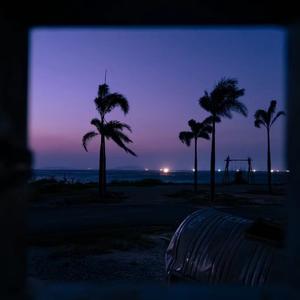 你现在是我的人了