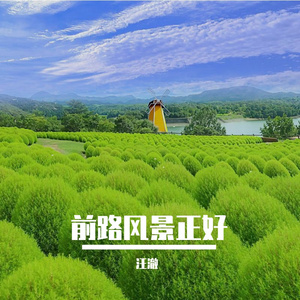 前路一片晴朗