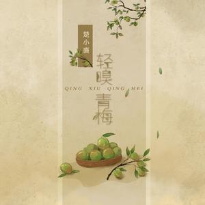 轻嗅青梅 (伴奏)