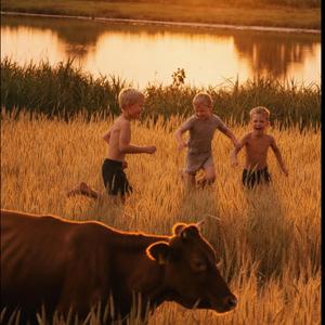 Country Dreams