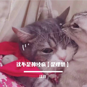 平野義久-这不是神经病【是理想】（江钧 remix）