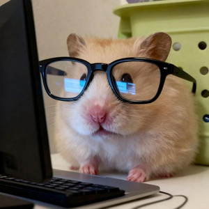 Memories(硬曲版Slow)