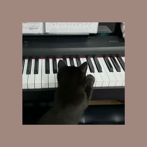 【Free】“elegant” - BOBBYNOPEACE Type Beat