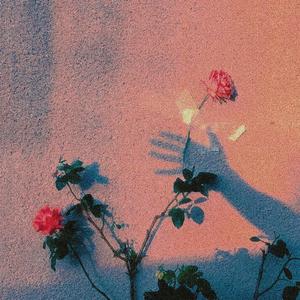 一步欢喜，一步金摇