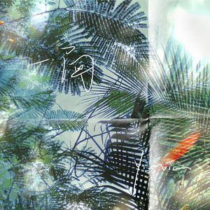 当我和世界见了一面