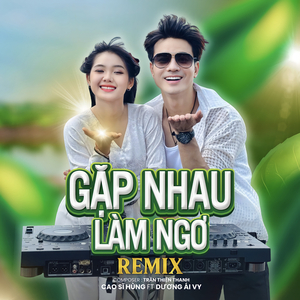 Gặp Nhau Làm Ngơ Remix