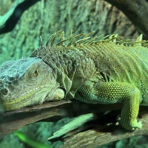 追风赶月莫停留.wav