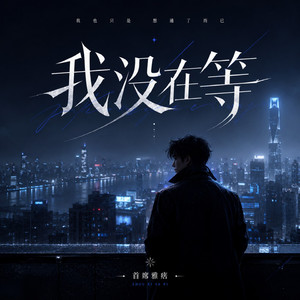 我没在等