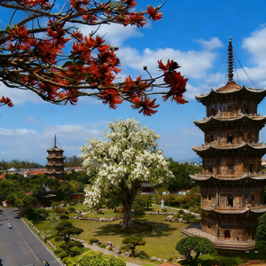 如果可以重来一次