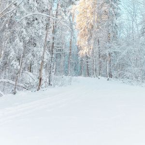 系统更新的凌晨