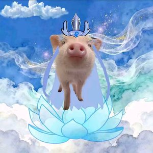 如果我有两颗心