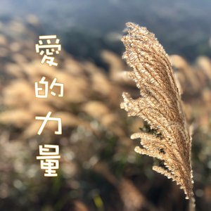 愛的力量