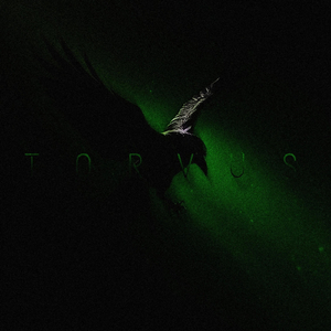 Torvus