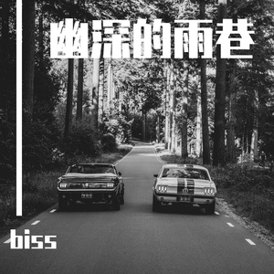 幽深的雨巷 伴奏