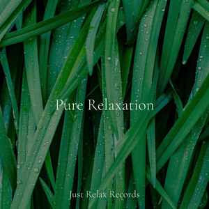 Floating Petals in Motion