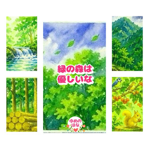 緑の森は優しいな