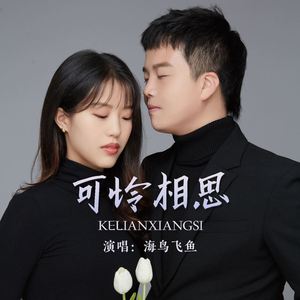 可怜相思 (DJ默涵版)