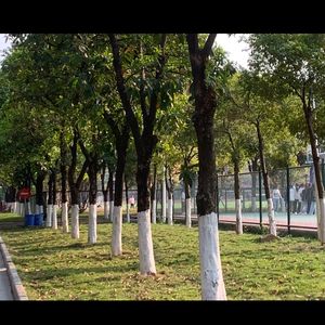 负光前行（校园原创）