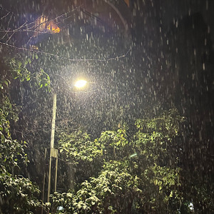 让我先说我爱你