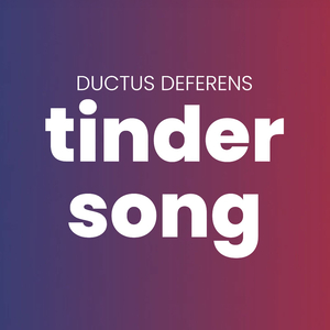 Tinder Song