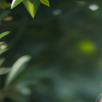 陈子渝121423-整曲