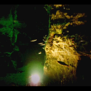 Sediment Flow