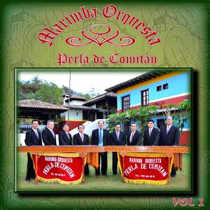 El Herradero / El Agrarista /Pajarillo Baranqueño /Tu Castigo / Serenata Huasteca