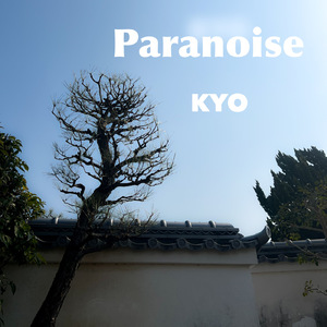 Paranoise