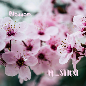 Blossom (Slowed)