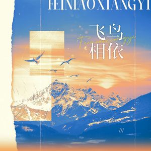 飞鸟相依