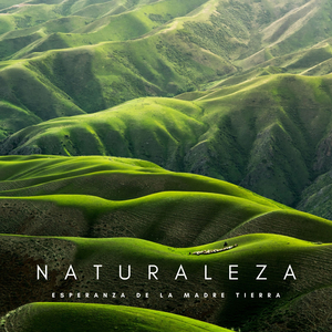 Mareas Instantáneas