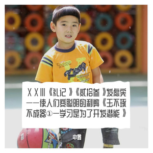 ⅩⅩⅢ《礼记》《贰拾叁》发虑宪——使人们变聪明的利弊《玉不琢不成器①—学习是为了开发潜能》