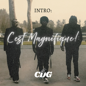 Intro : (C'est Magnifique !)