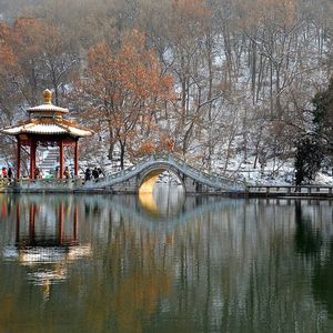 孤独星球的冒险之旅