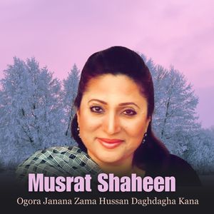 Rasha Chi Wako Nan Pa Mina So Khabari