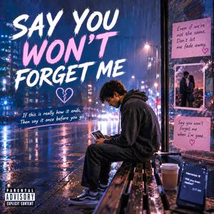 SAY YOU WON’T FORGET ME