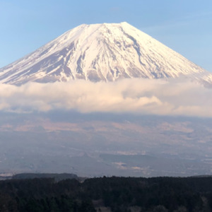 あなたと一緒なら