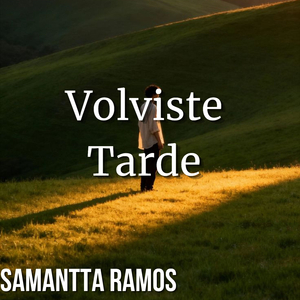 Volviste Tarde