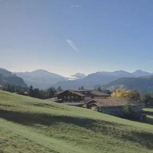 助眠海洋（治愈八音盒）