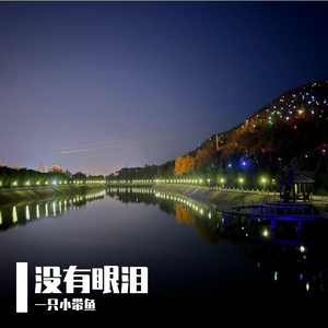 《岁岁长安》