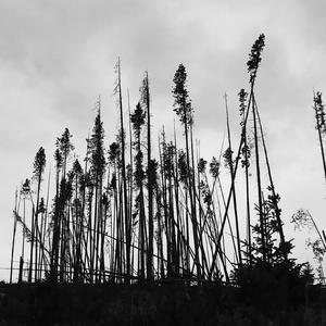 Tight Grip (feat. Intake)