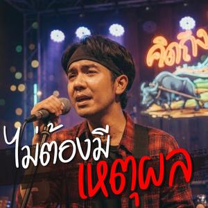 ไม่ต้องมีเหตุผล