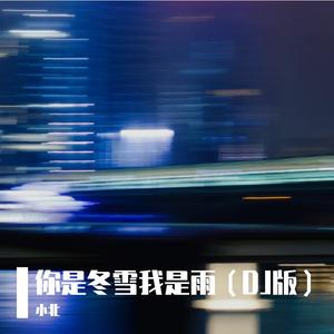 你是冬雪我是雨（DJ版）