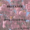 Strub Quartet - Bruckner: String Quintet WAB 112, Adagio