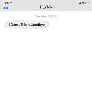 I Guess This Is Goodbye